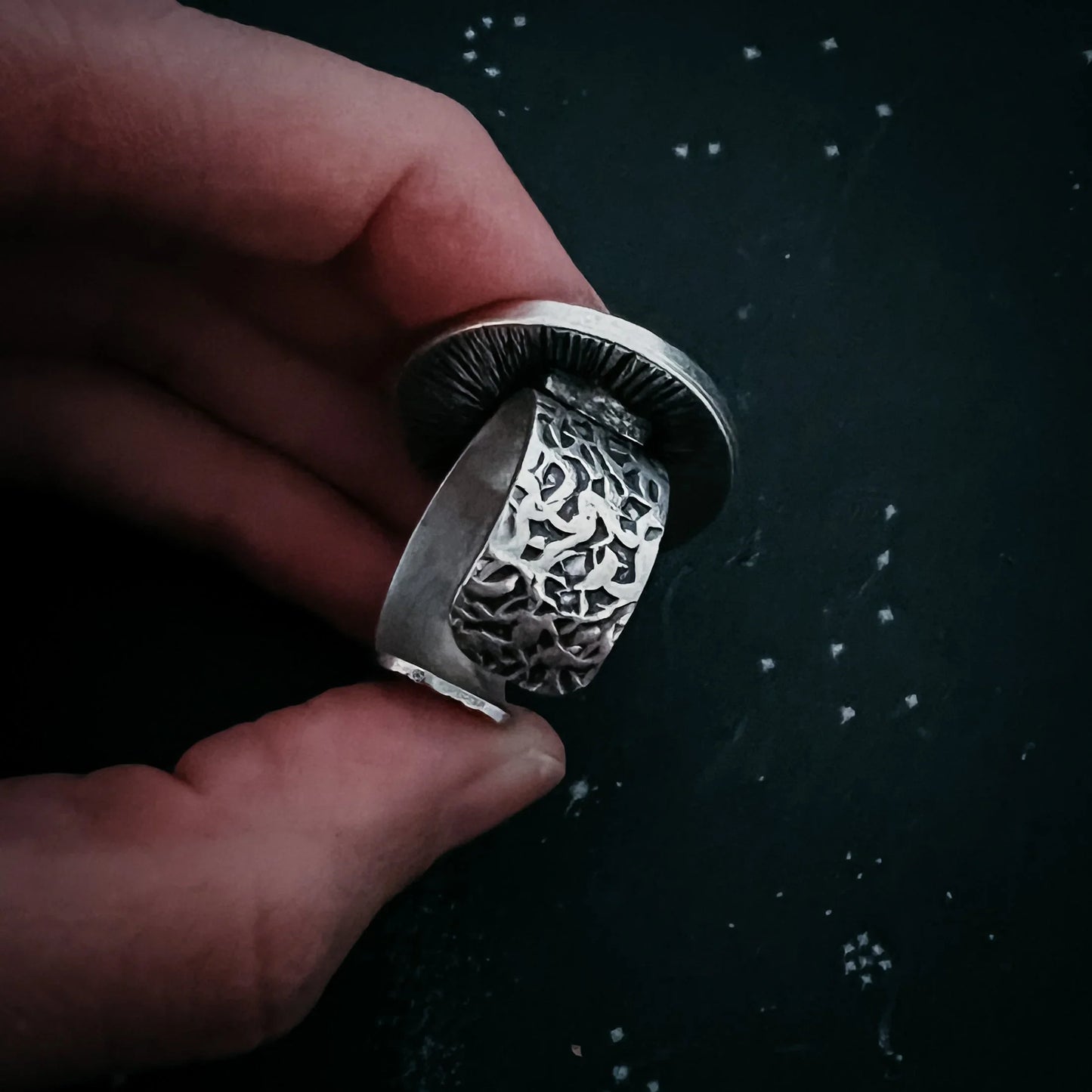 Night Sky Ring with Raw Meteorite - minbolu -